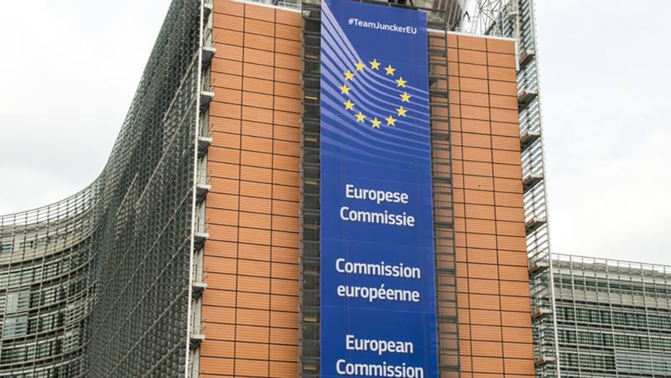 commission1.jpg